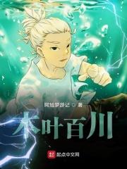 木叶丸百合之术哪集