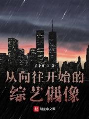 从向往开始综艺之路免费阅读全文