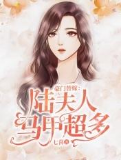 豪门替嫁陆夫人马甲超多