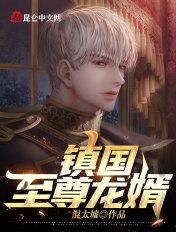 镇国龙婿叶倾天