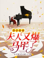 夫人又爆马甲了百度