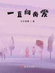 一直往南方开 痛仰歌词