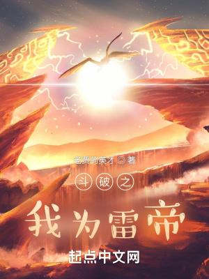 斗破之我为雷帝十二玄雷