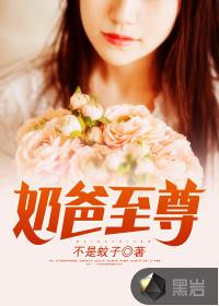 奶爸至尊主角有几个女人