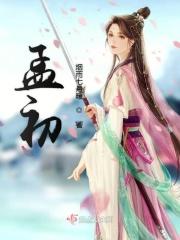 孟初禾沈安免费阅读