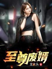 至尊废婿叶天