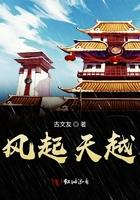 风起天临免费阅读