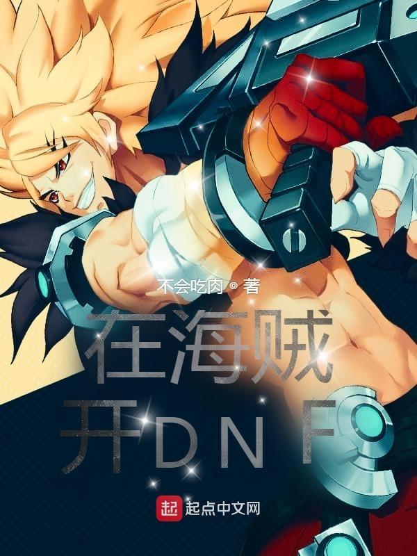在海贼开dnf圣骑的