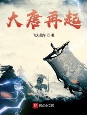 大唐再起笔趣阁