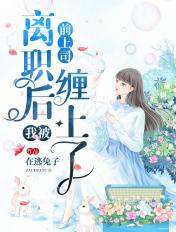 离职后我被前老板缠住了宋襄严厉寒