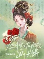 世子宠外室我去跪宫门