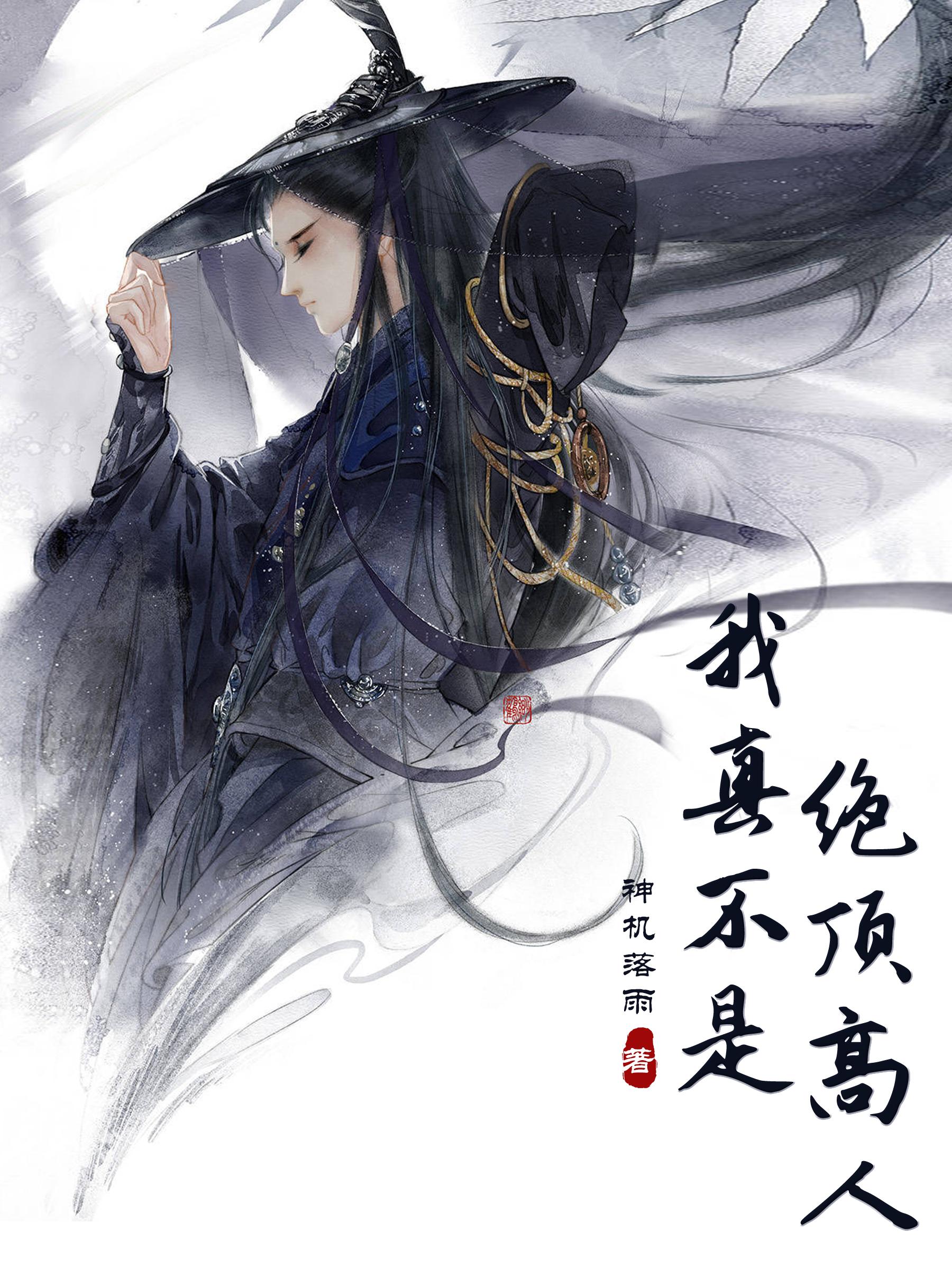 我真不是绝顶高人电视剧