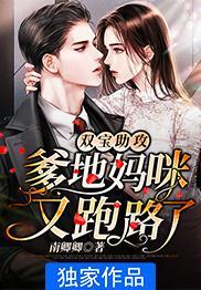 双宝来袭爹地撩妻上瘾