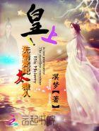 皇上非常宠妃的系列