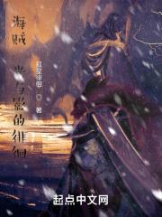 海贼王——光亮の海