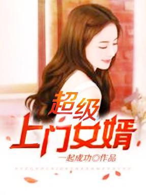 超级上门女婿推荐