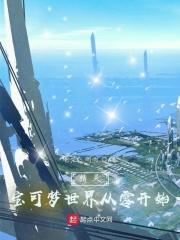 精灵宝可梦世界游戏