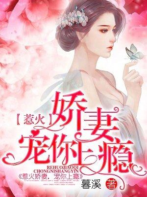 宠你上瘾陆宁夕