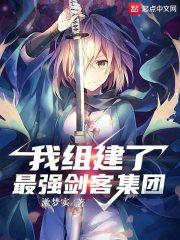 我组建了最强剑客集团百度