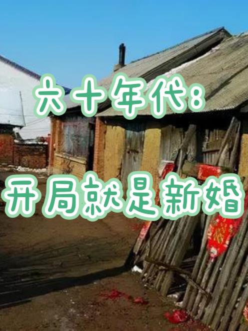 六十年代开直播格格党