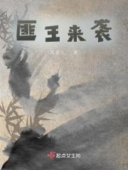 匪王电视剧简介