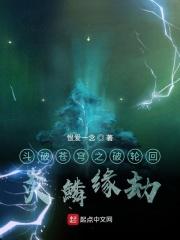 斗破苍穹之炎鳞爱情文