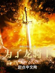龙骑士情节