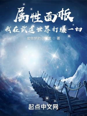 我的武道属性面板