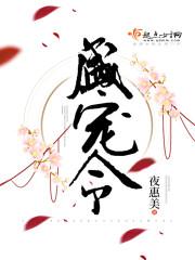 盛宠令by北倾讲什么