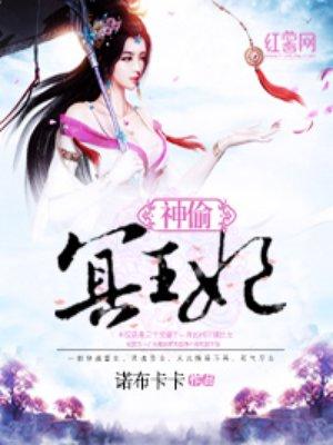 神偷王妃北冥夜身份是什么