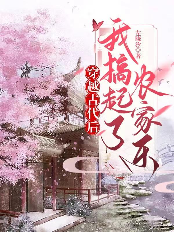 穿越到古代农村养家