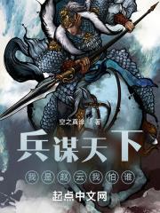兵谋天下我是赵云我怕谁