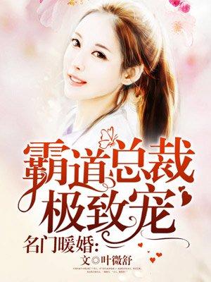 名门暖婚霸道总裁极致宠男女主的结局