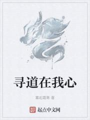寻道时间是什么意思
