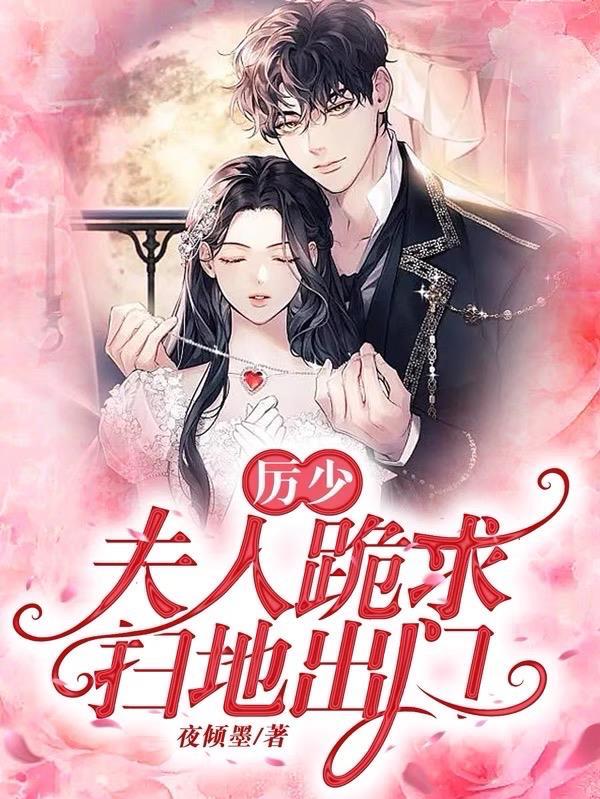 夫人又轰动全球了已经完结了