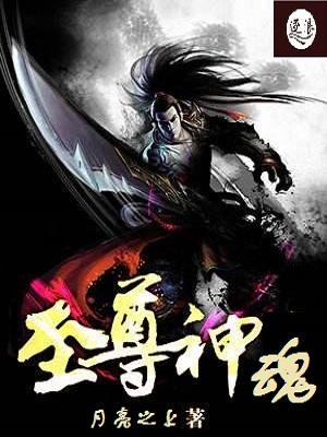 至尊神魂我的红颜来自诸天短剧