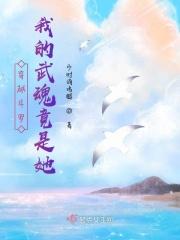 穿越斗罗大陆我的武魂是
