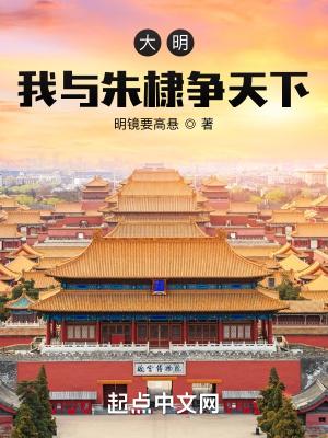 大明我与朱棣争天下TXT