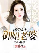 我的完美御姐老婆三寸冰封