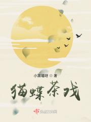猫戏蝴蝶