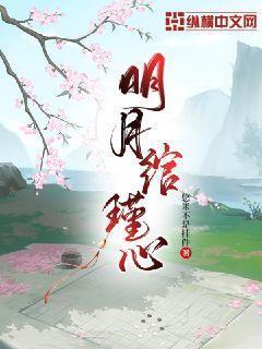 明月绾瑾心TXT