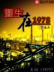 重生在70年代首长家收养