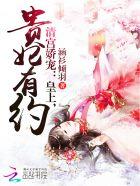 清宫服装贵妃宫廷
