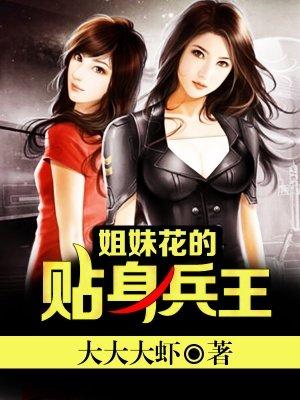 姐妹花的贴身兵王宁浩