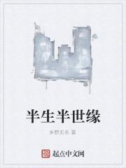 半生缘讲解