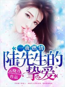 一夜燃情厉先生如狼似虎全集免费观看