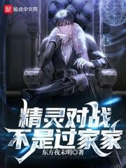 精灵对战的动漫