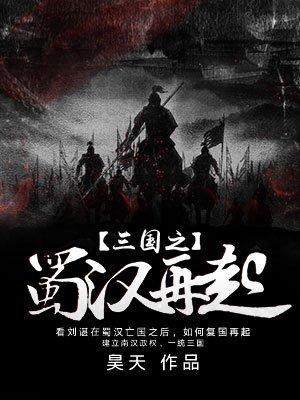 三国之蜀汉再起TXT