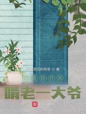 四合院开局啃老一大爷最新章节