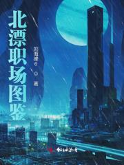 北漂女性职场经历